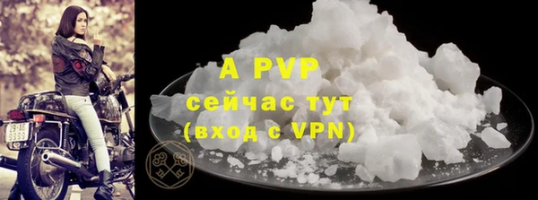 гидра Карпинск