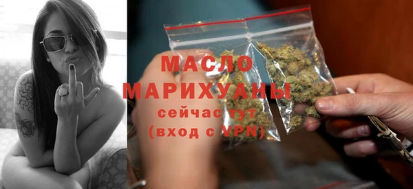 гидра Карпинск