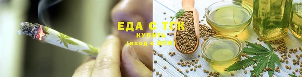 гидра Карпинск