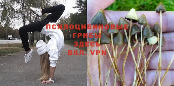 каннабис Карталы