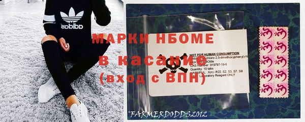 гидра Карпинск