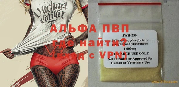 гидра Карпинск