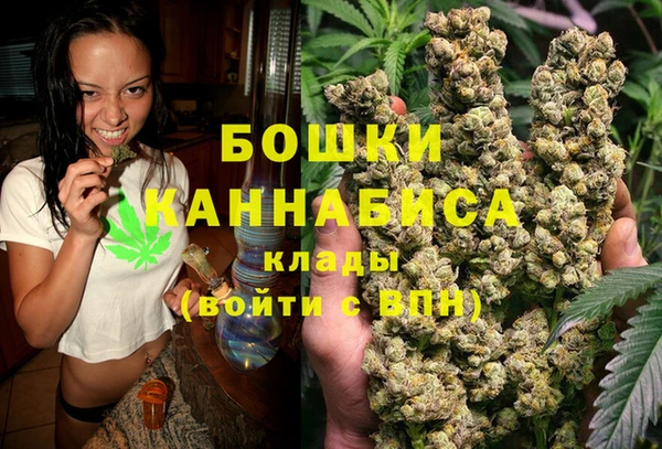 гидра Карпинск